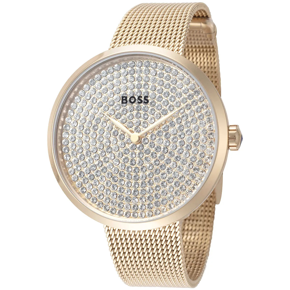 Hugo Boss Glamorous Praise Women's Watch - 1502659
