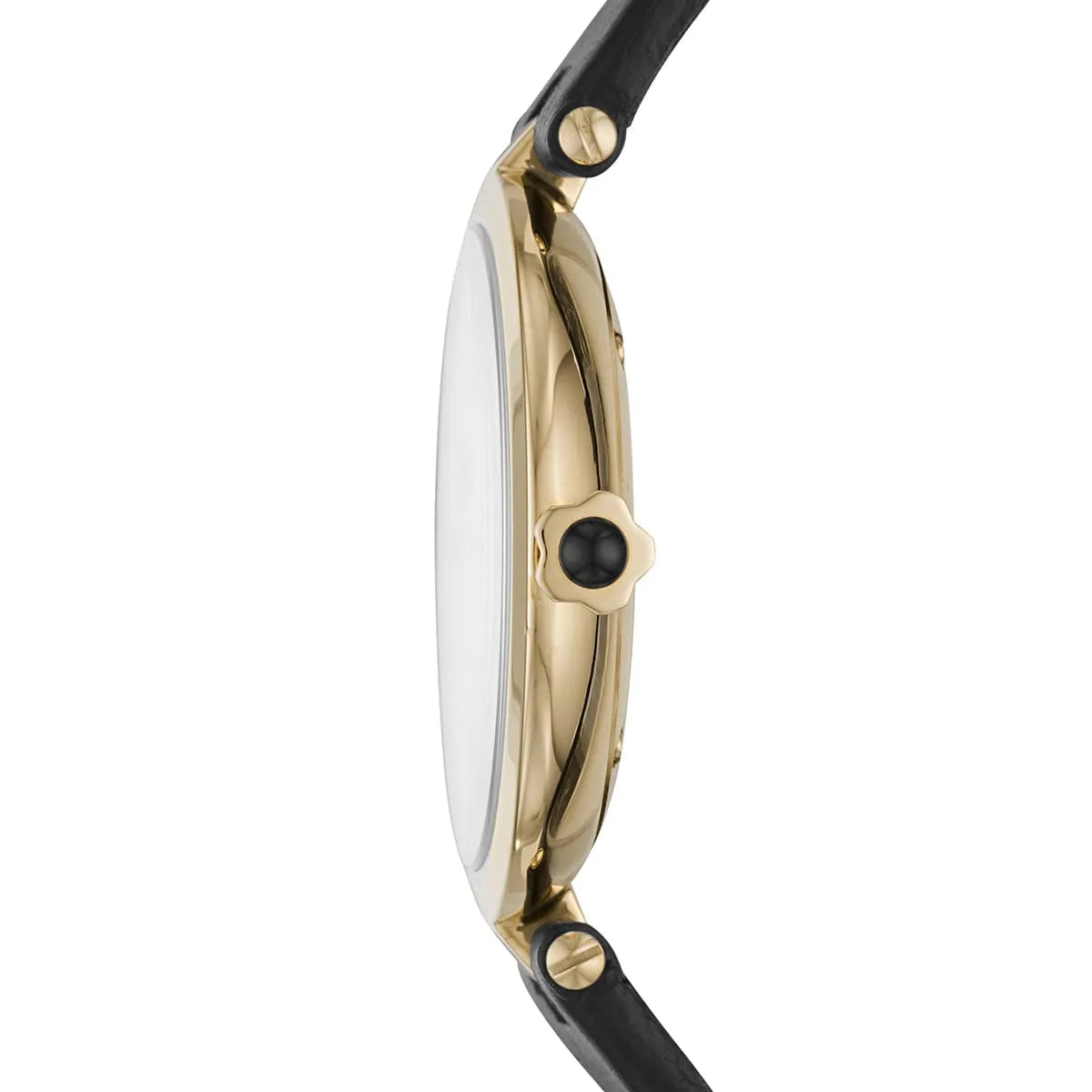 Emporio Armani Arianna Quartz White MOP Dial Ladies Watch AR11200