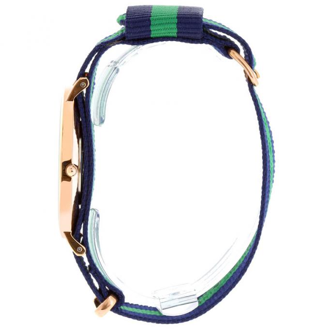Side profile of Warwick 40mm watch showing gold case and blue-green striped NATO strap