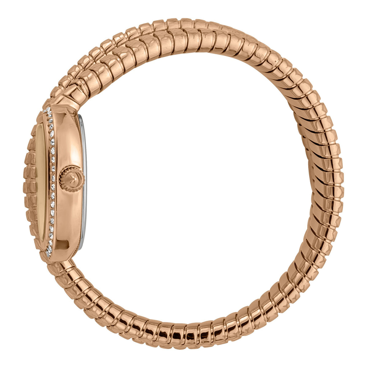 Just Cavalli Snake watch side view displaying crystal-set bezel and snake-coil bracelet