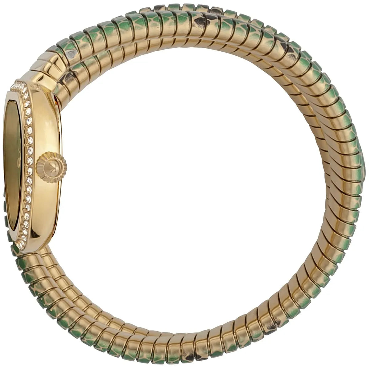 Just Cavalli snake watch worn showing oval case with crystal bezel and multi-colored snake-textured strap