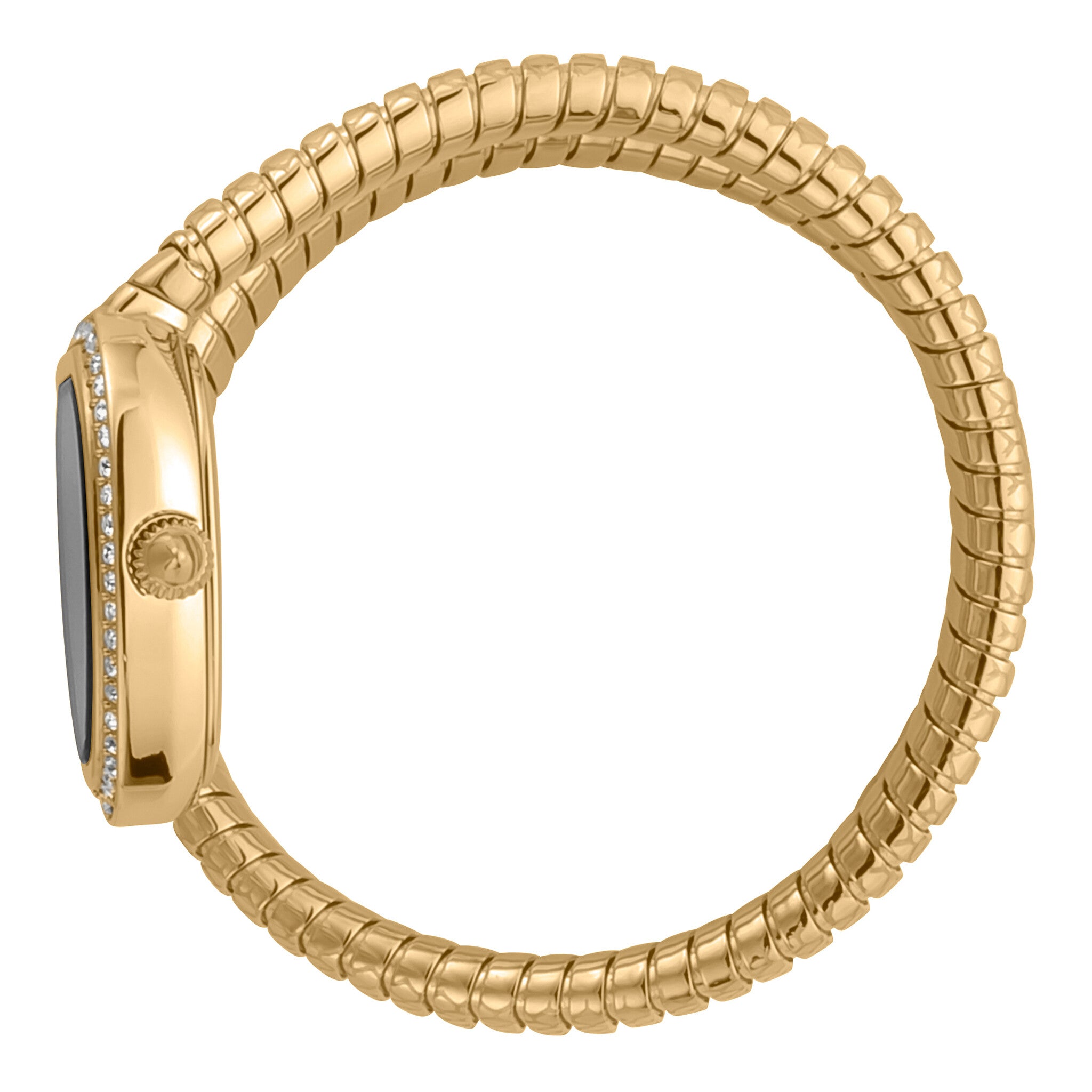 Just Cavalli snake crystal bracelet watch worn, showing gold wrap-around design