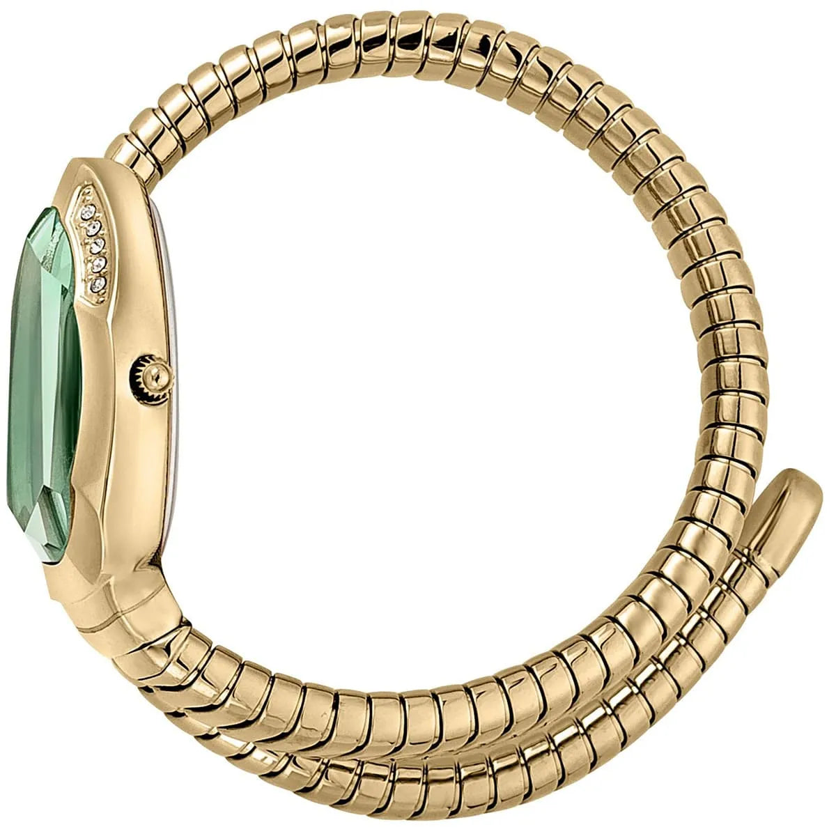 Just Cavalli snake wrap watch worn on wrist showing green dial and gold-tone segmented bracelet