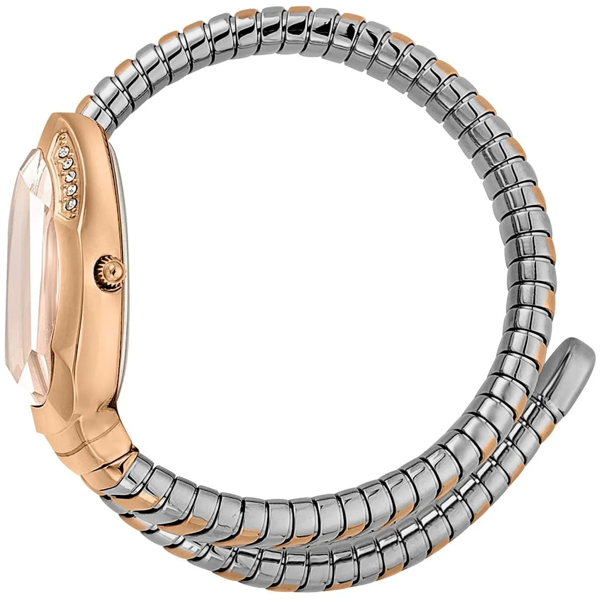Just Cavalli Serpente Metallica watch side view showing oval case, crystal bezel, and segmented two-tone bracelet