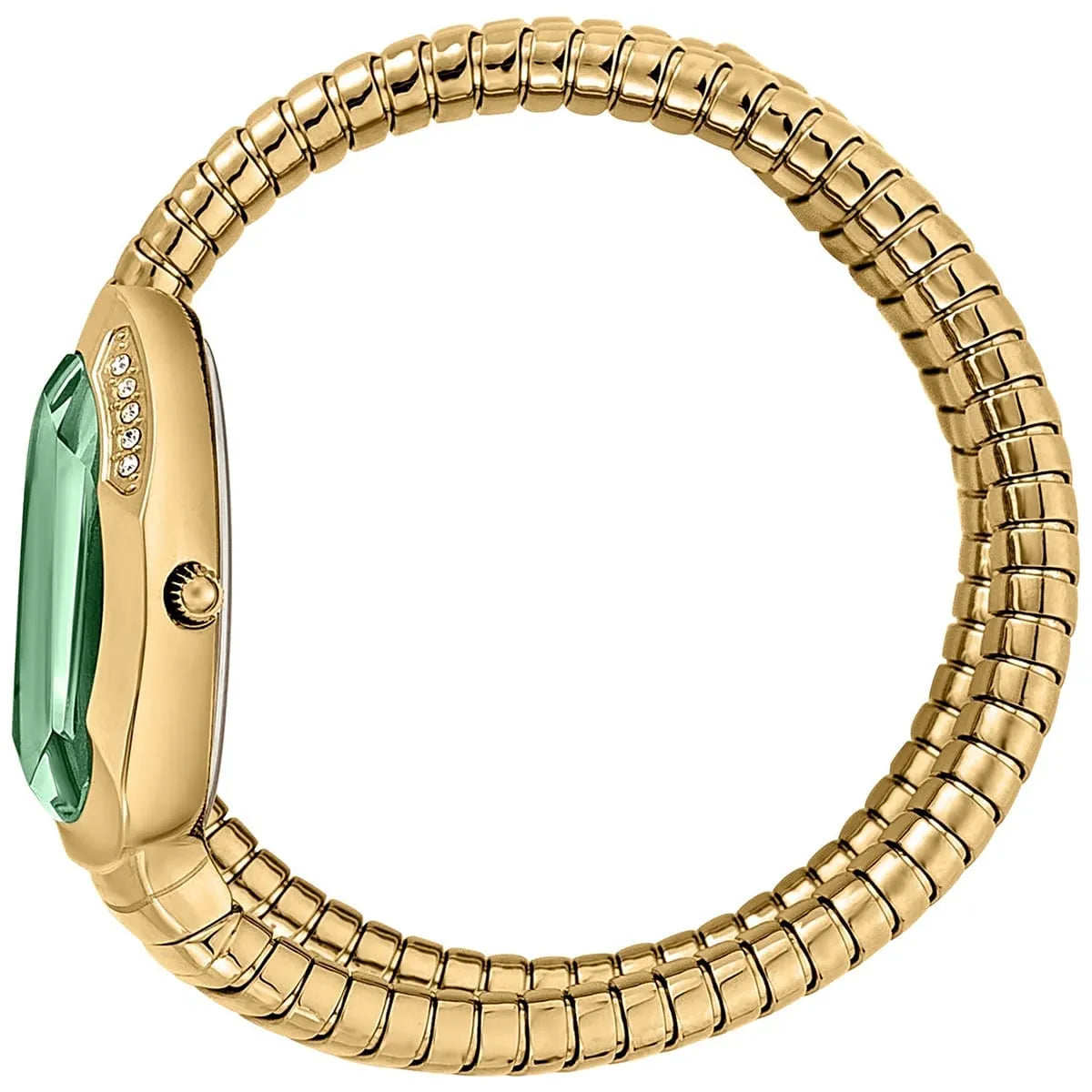 Just Cavalli Serpente watch on wrist with gold segmented strap