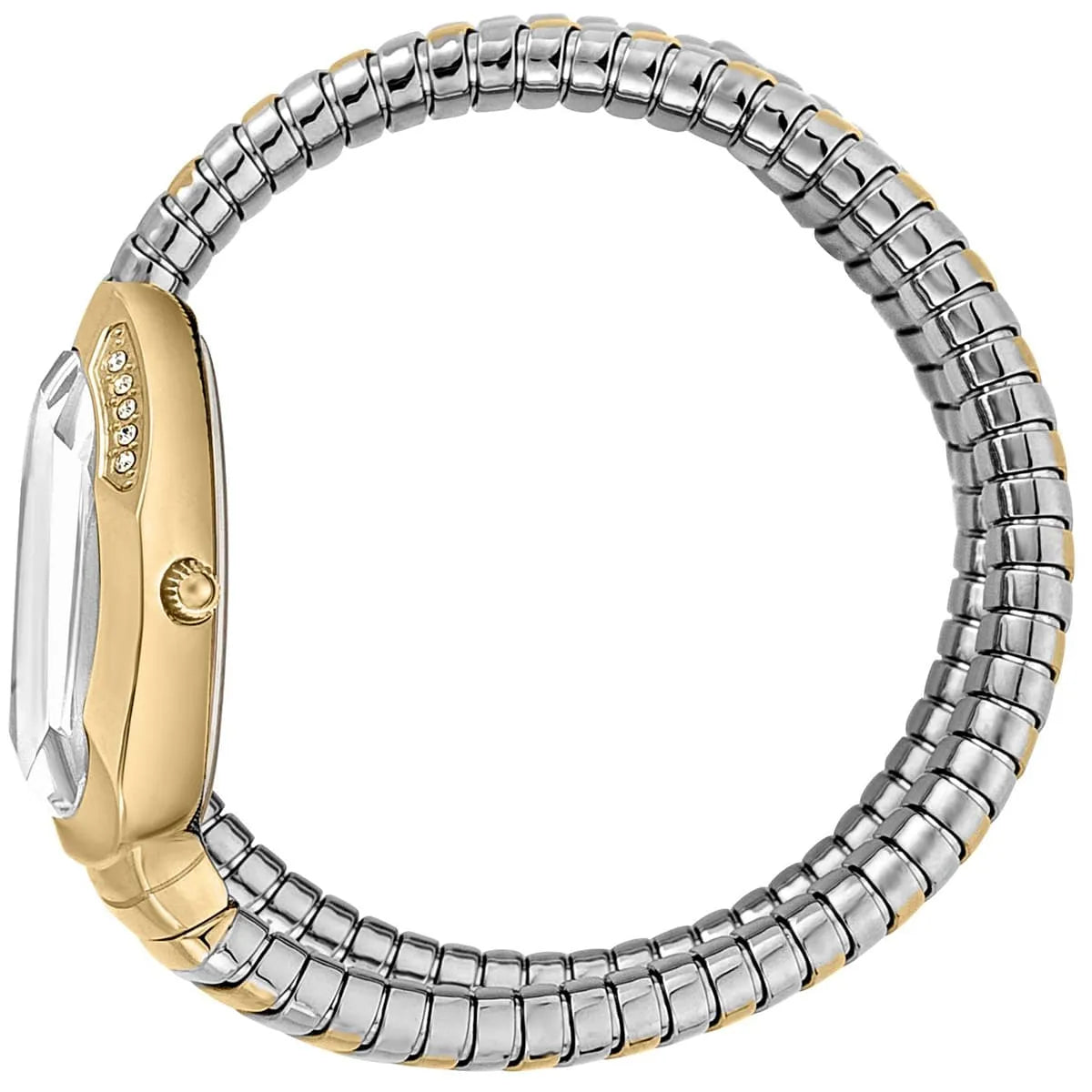 Just Cavalli Glam Evo 4 women's watch side view showing two-tone segmented strap