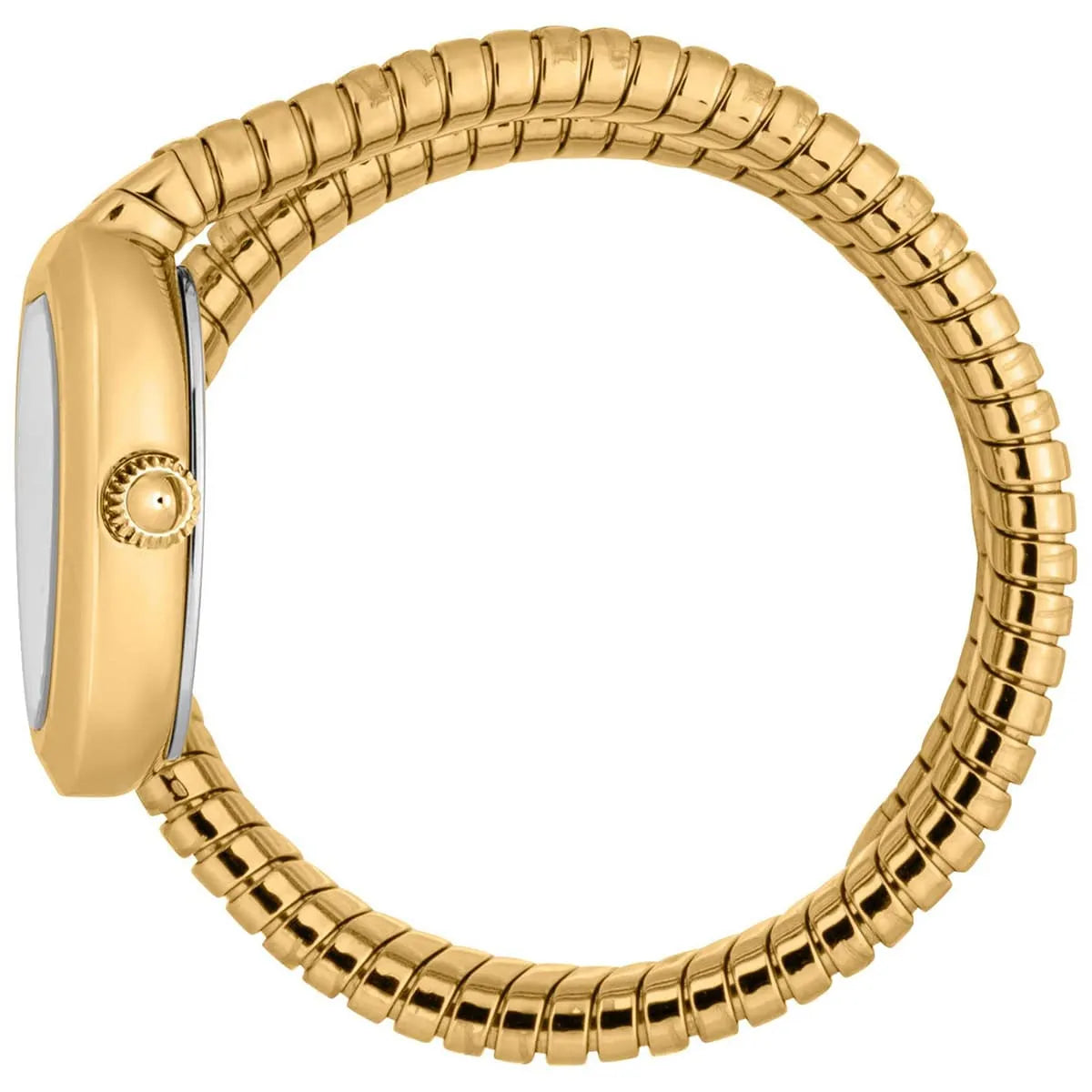 Side view of Just Cavalli Aversa watch showing oval case and gold segmented bracelet