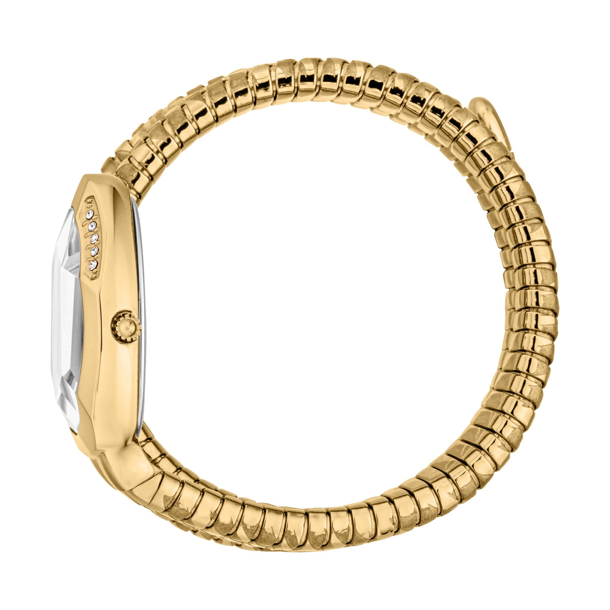 Just Cavalli Serpente Logo Gold Women Watch - JC1L226M0025