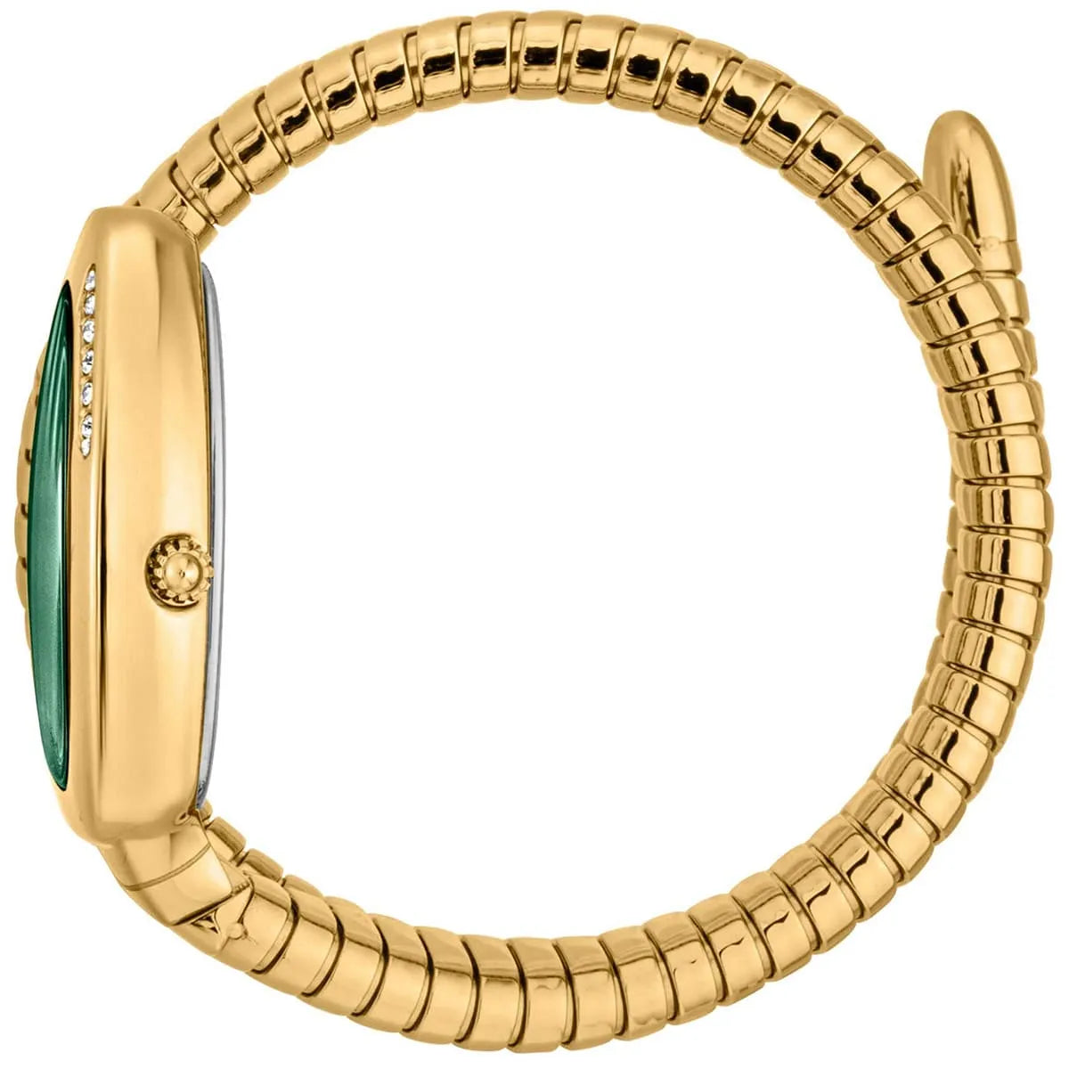 Just Cavalli Serpente watch side profile showing green dial, gold case and segmented snake bracelet