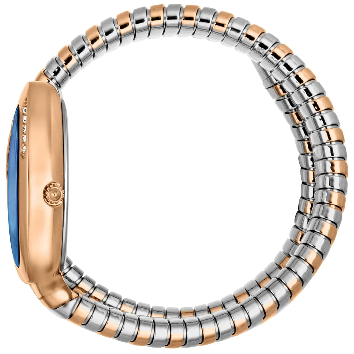 Just Cavalli Glam Evo 4 on wrist showing blue dial and two-tone segmented snake bracelet design