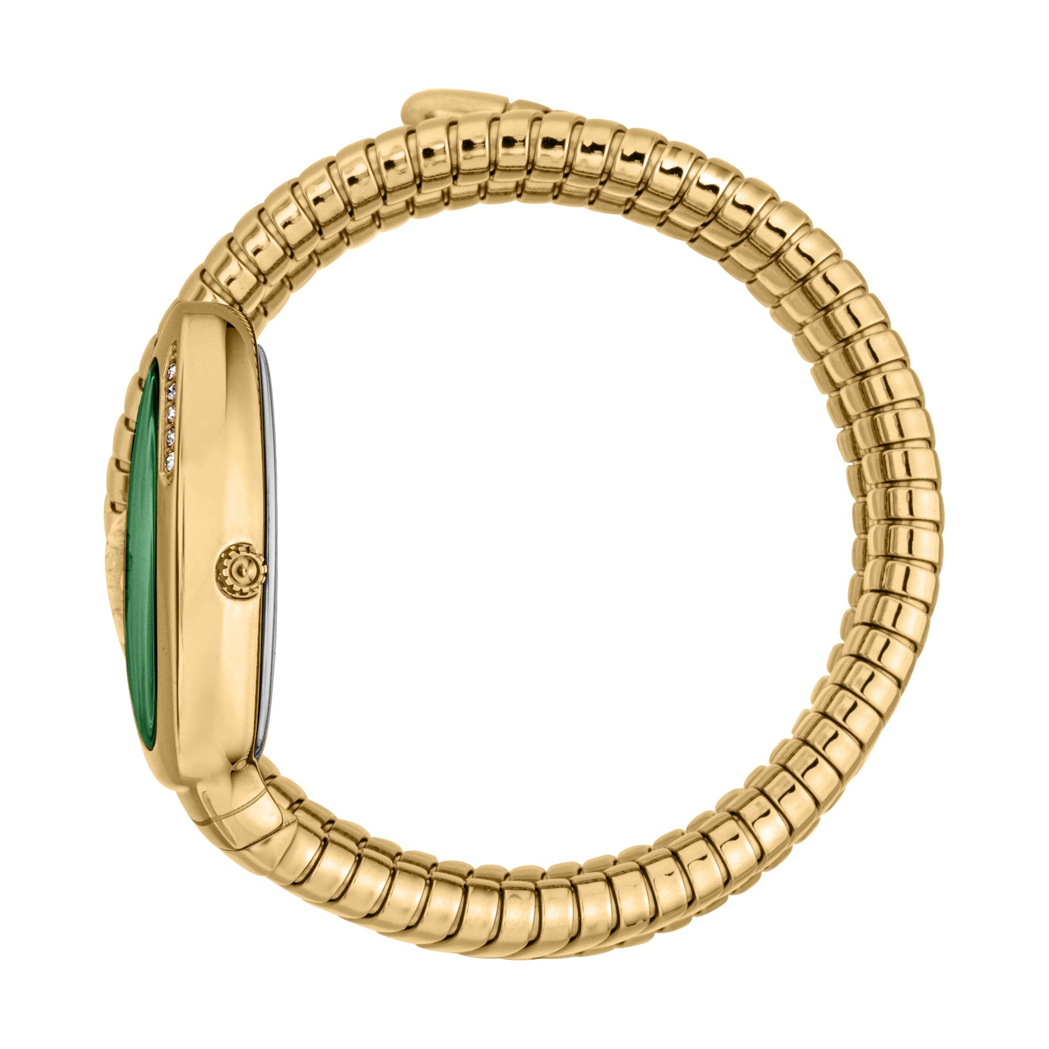Just Cavalli women's watch side view showing gold serpent wrap bracelet and green dial