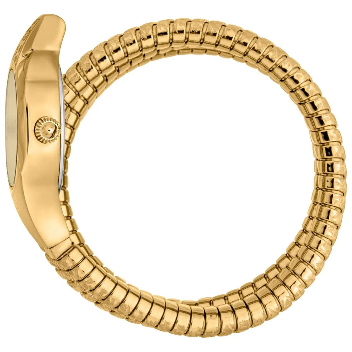 Just Cavalli Ravenna Quartz Gold Dial Women's Watch - JC1L271M0025