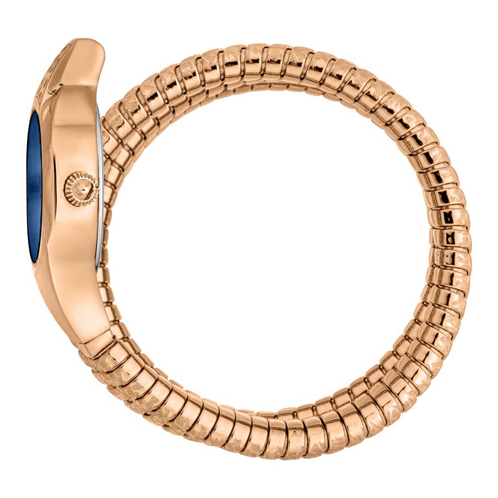 Just Cavalli Ravenna Quartz Blue Dial Women's Watch - JC1L271M0045