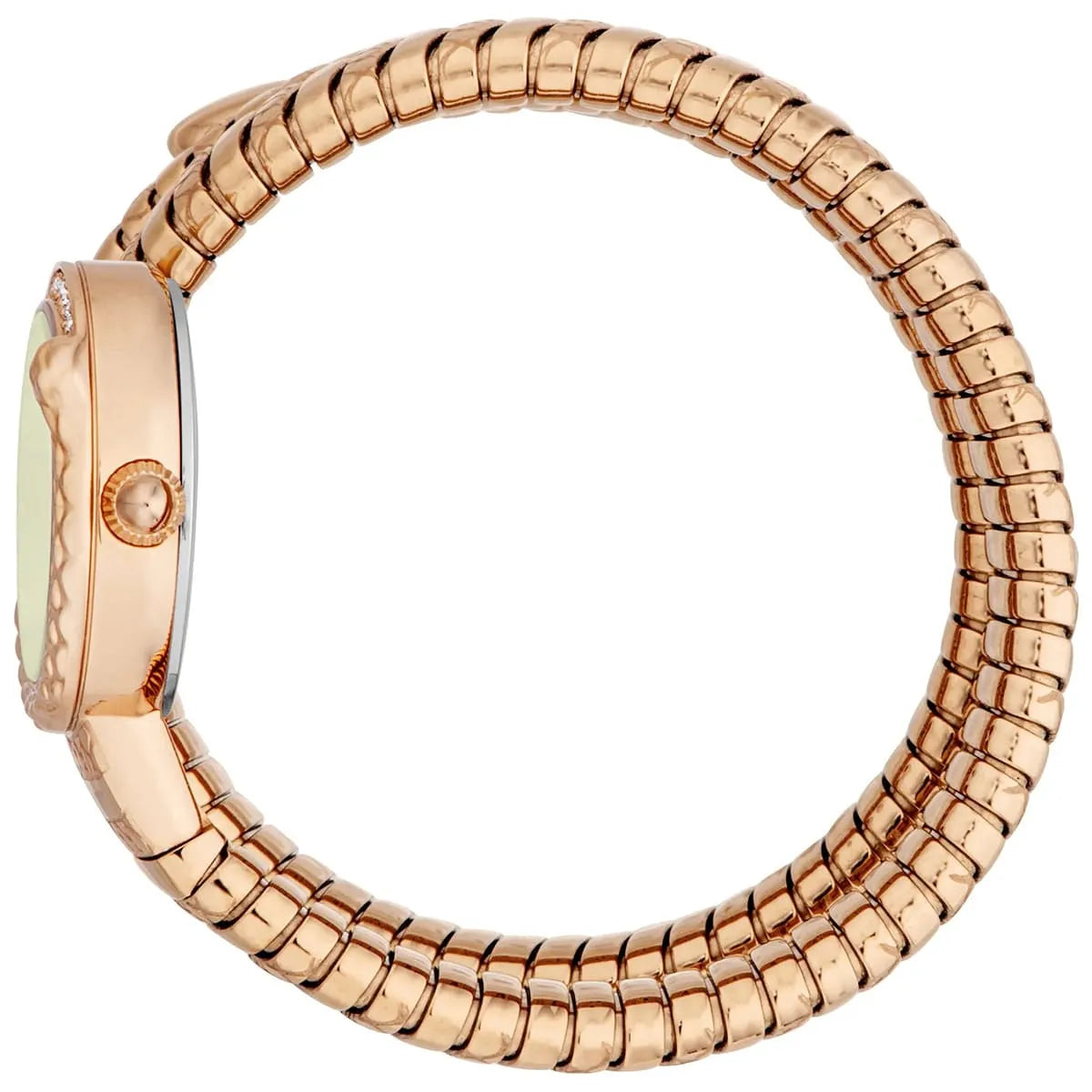 Just Cavalli Enchanting Analog Women's Watch - JC1L302M0045