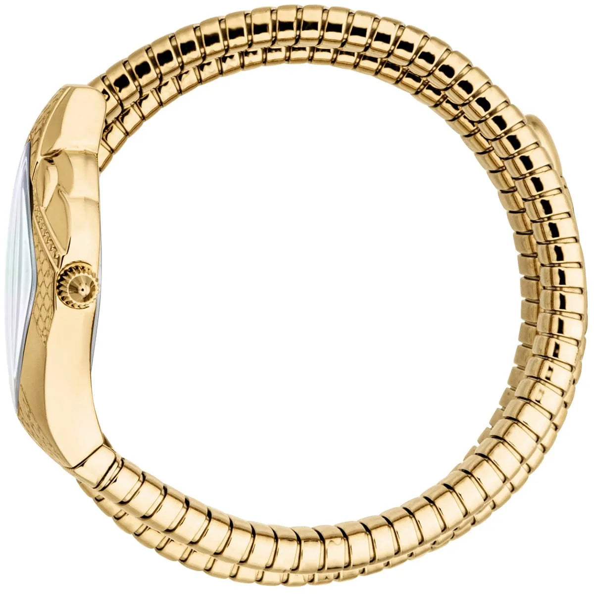 Just Cavalli Cristallo Mother of Pearl Dial Analog Women's Watch - JC1L307M0025