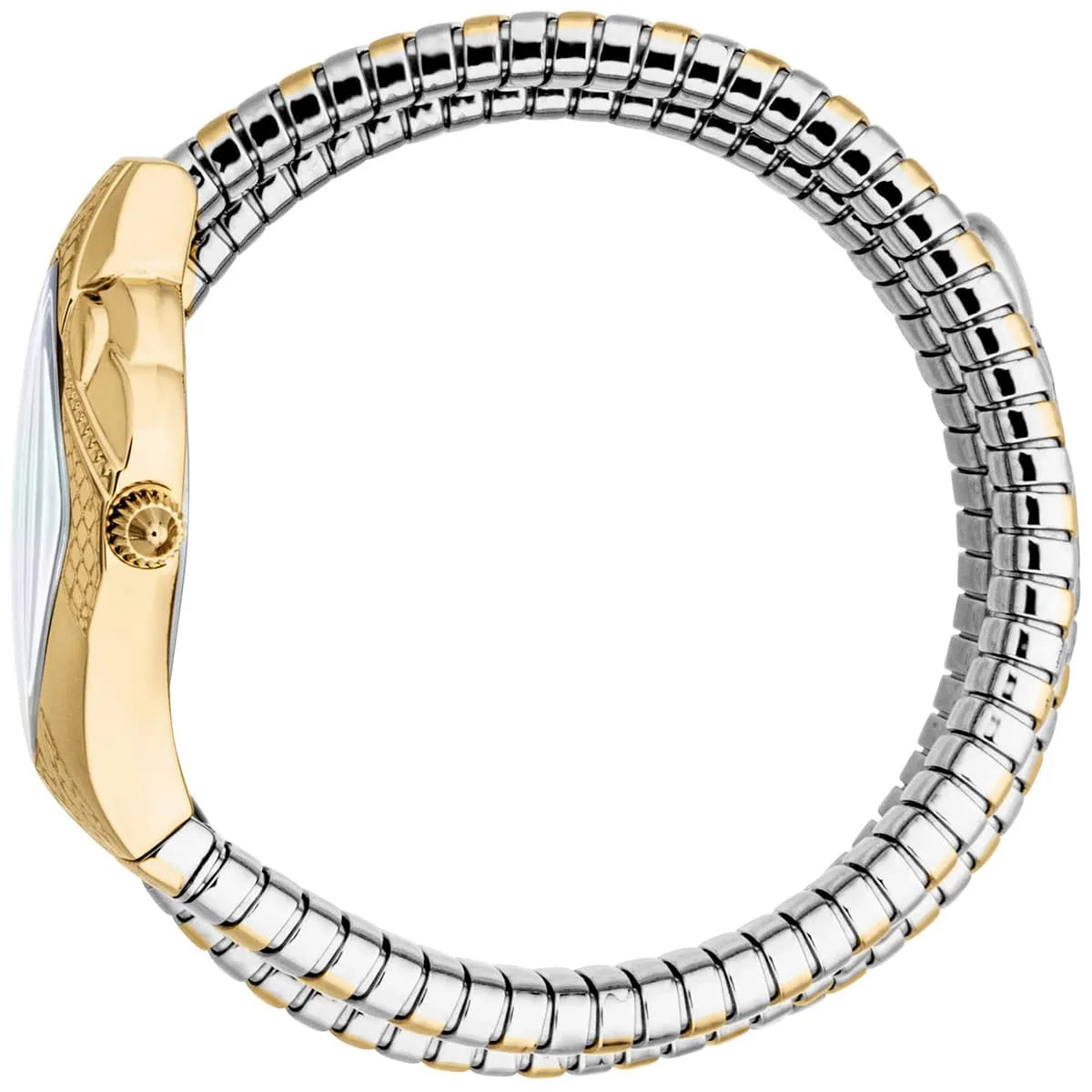 Just Cavalli Signature Snake Cristallo watch worn on wrist, showing two-tone serpentine bracelet