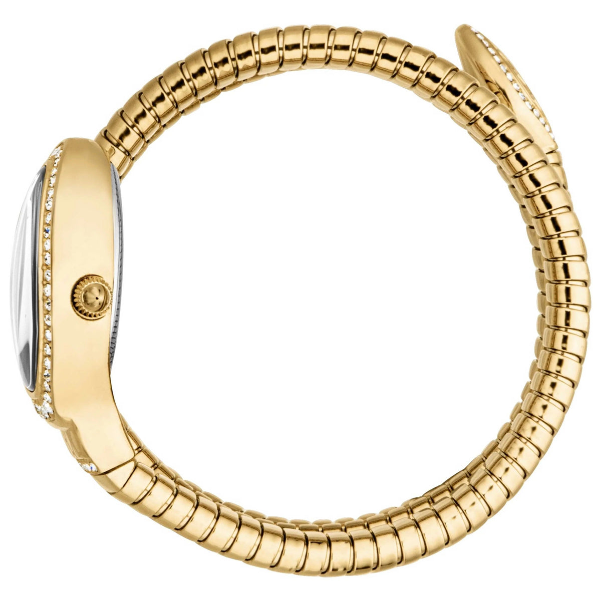 Just Cavalli Carezza Silver Dial Gold Steel Strap Women Watch - JC1L372M0025