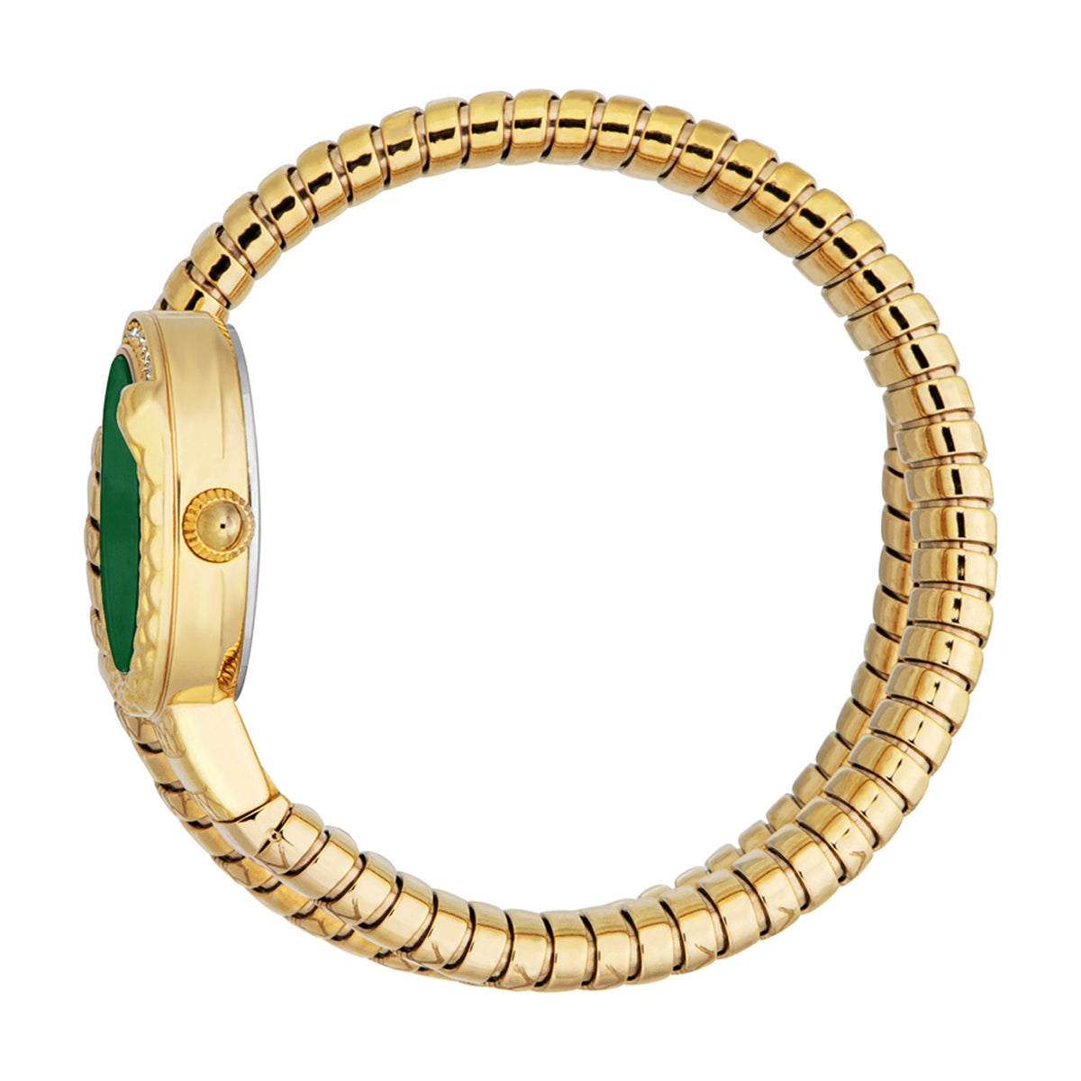 Just Cavalli Gold, Dark Green Dial Women's Watch - JC1L301M0035