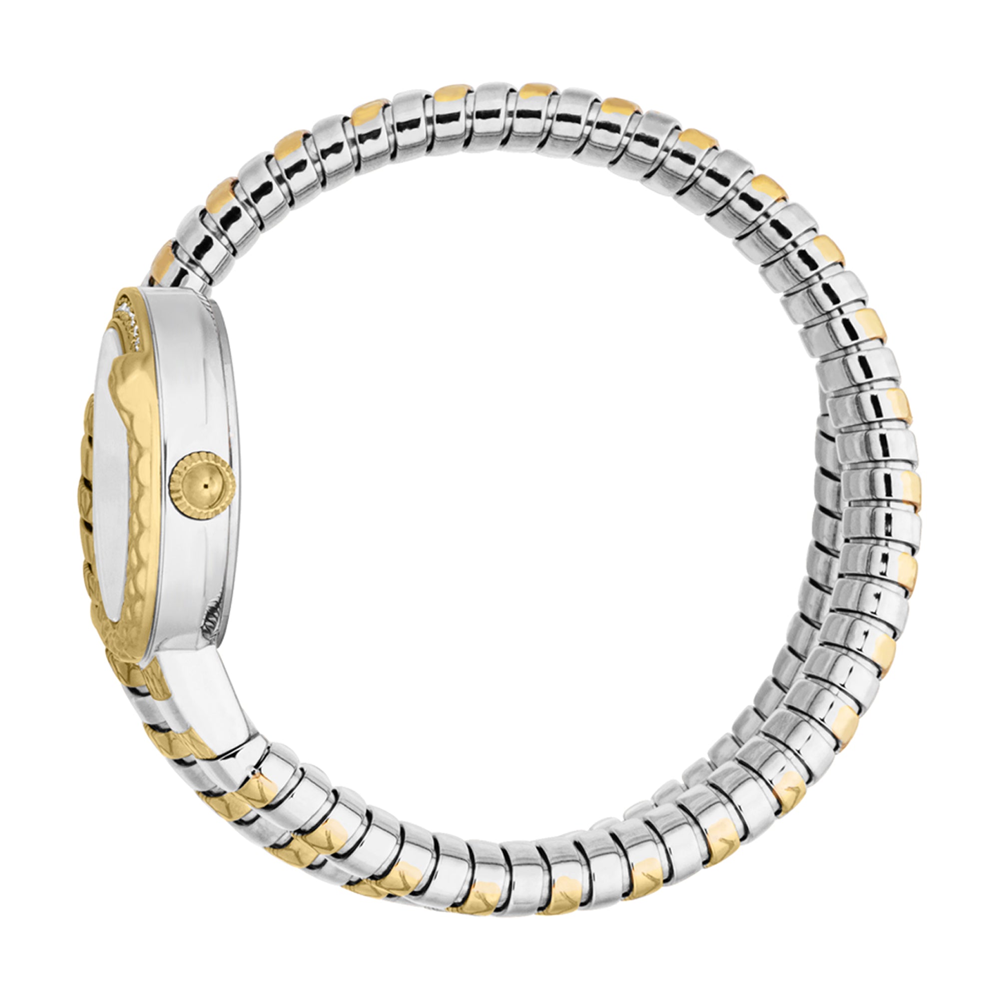 Just Cavalli Signature Snake Cerchio Snake Two Tones YG Silver Grey Women's Watch - JC1L301M0065