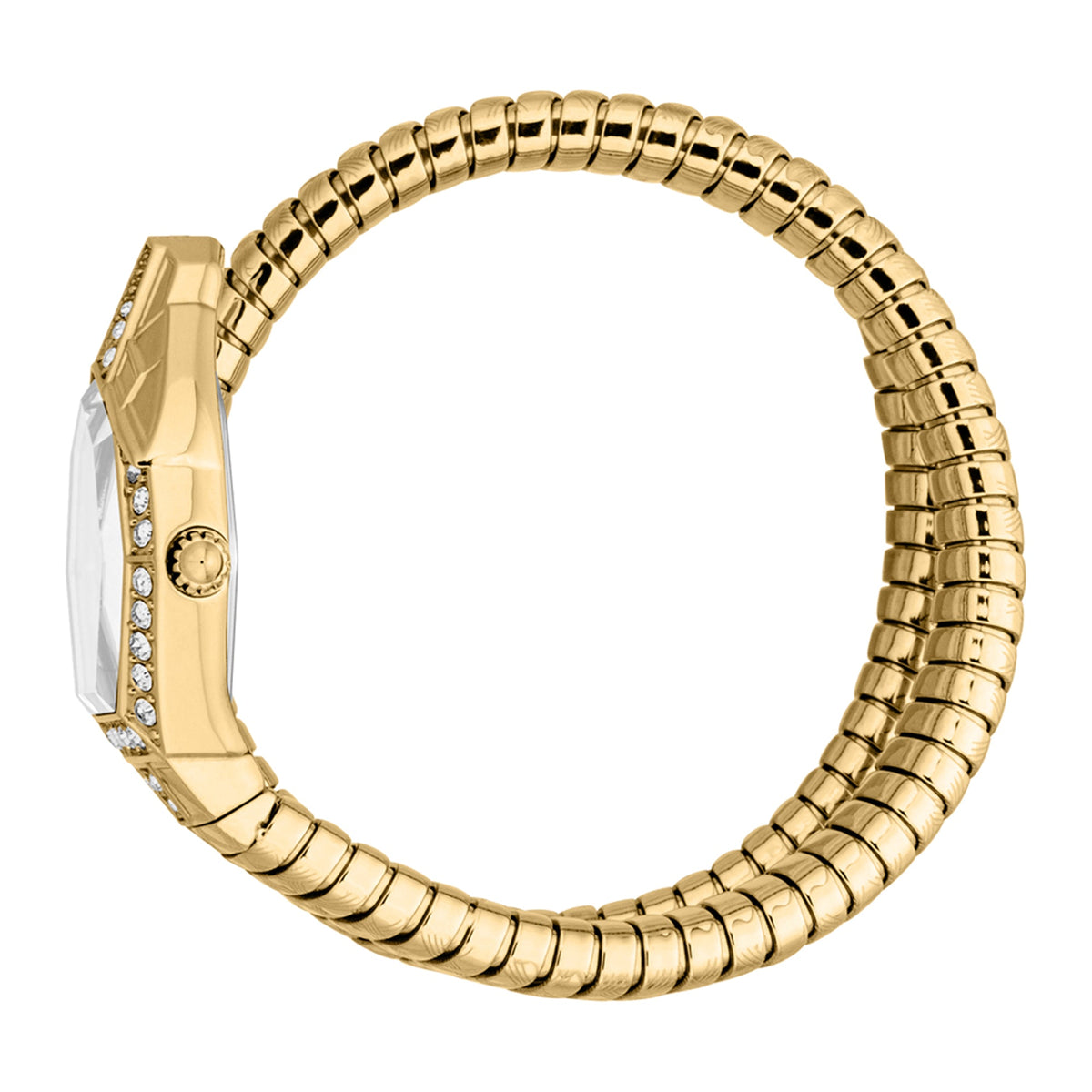 Just Cavalli Glam Chic Women's Watch - JC1L303M0025