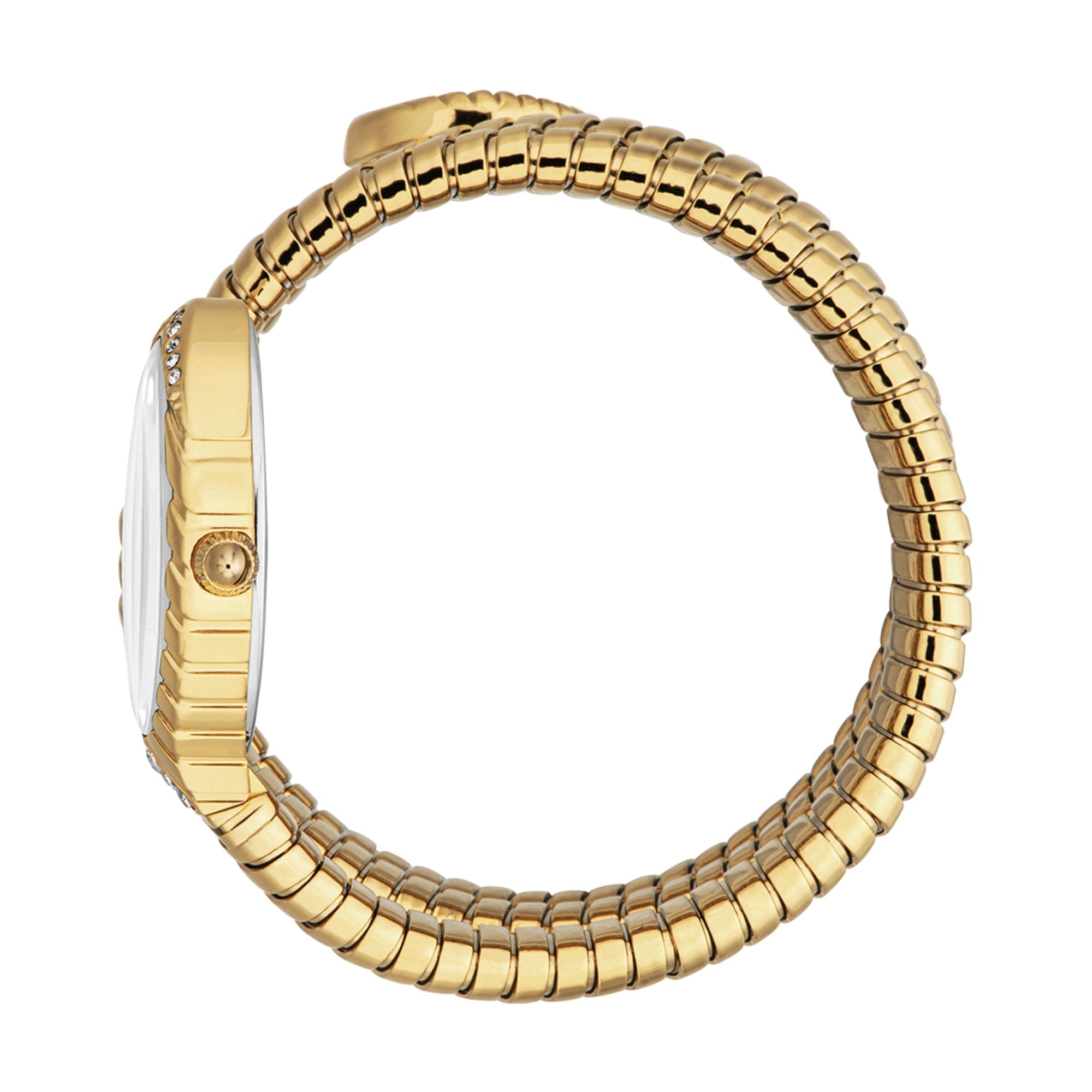 Just Cavalli Specchio Silver Dial Gold Steel Strap Women Watch - JC1L323M0025