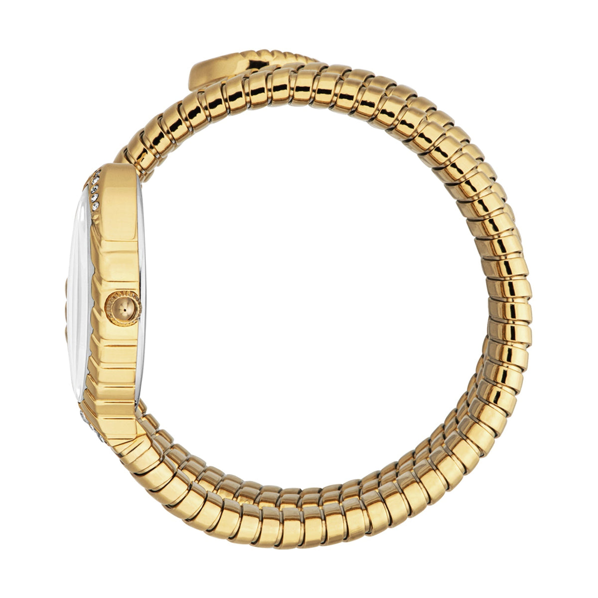 Just Cavalli Specchio Silver Dial Gold Steel Strap Women Watch - JC1L323M0025