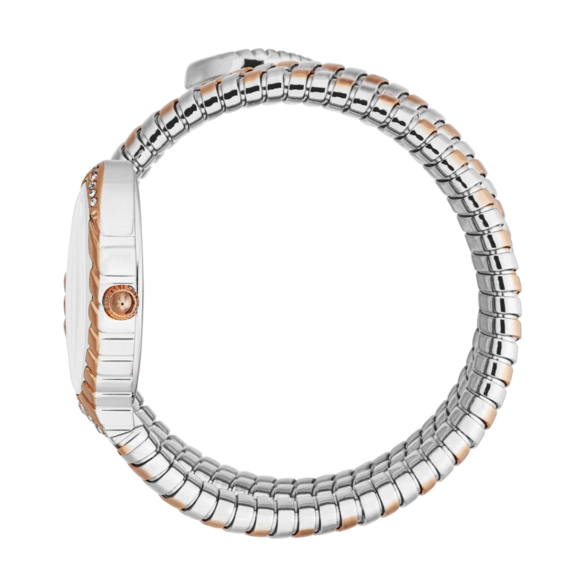 Just Cavalli Specchio Silver Dial Two Tone Steel Strap Women's Watch - JC1L323M0065