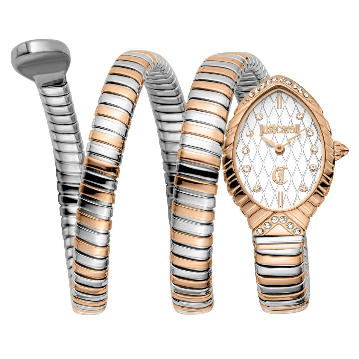Just Cavalli Specchio Silver Dial Two Tone Steel Strap Women's Watch - JC1L323M0065