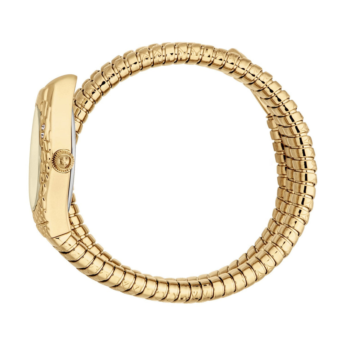 Just Cavalli Women's Watch - JC1L374M0025