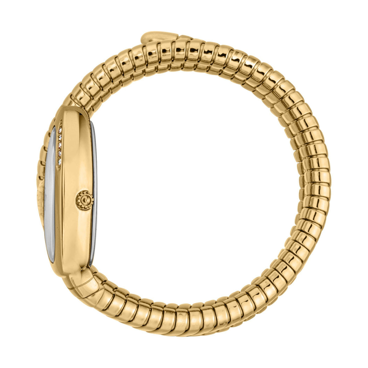 Gold-tone snake strap watch worn on wrist, showing side profile and flexibility