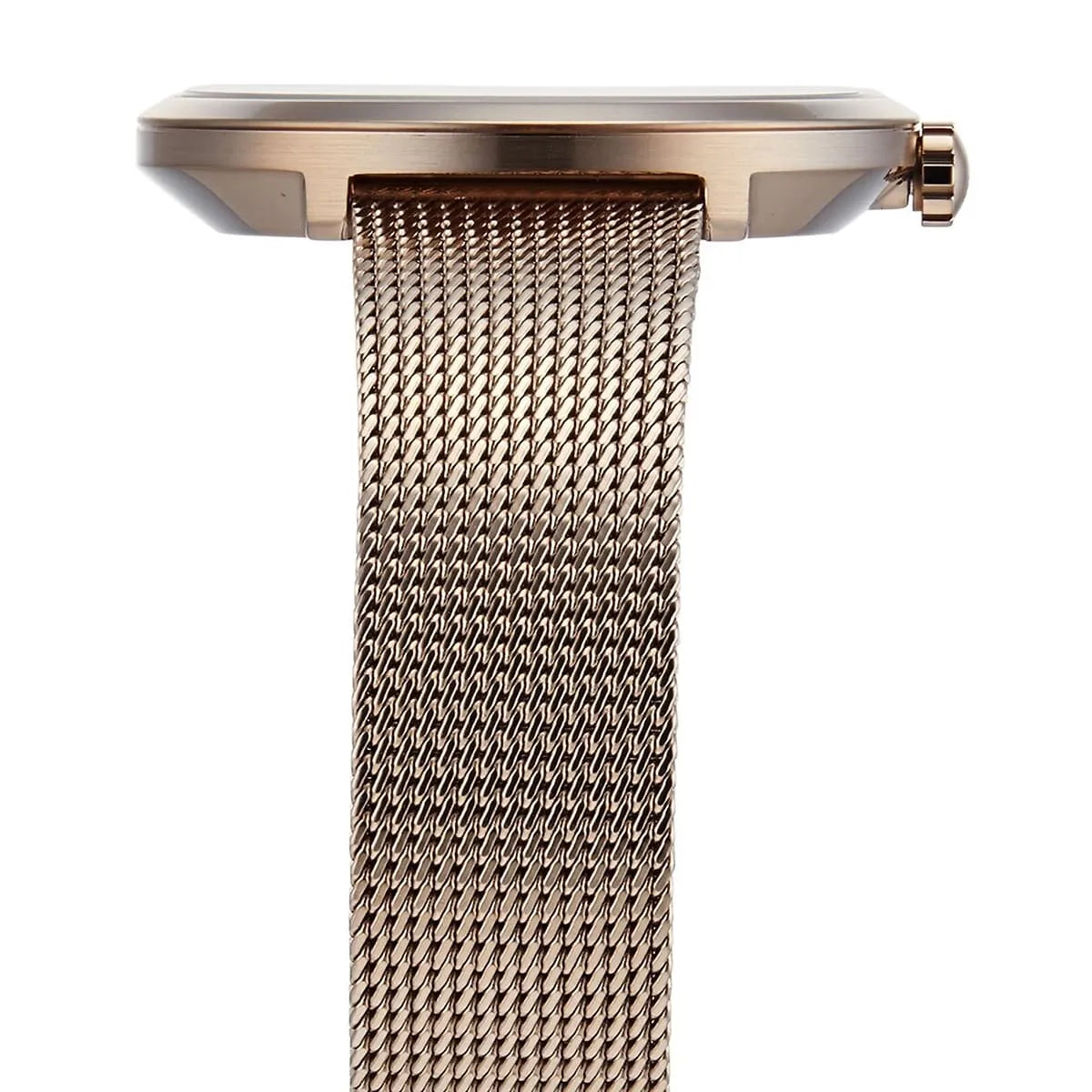 Hugo Boss Praise Ladies Watch 1502548