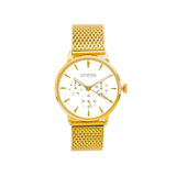 NOX-BRIDGE Supreme Vela Gold 36MM  VELA36 - Watches of New Zealand
