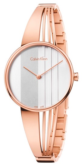 Calvin Klein Drift Quartz Silver Dial Women's Watch K6S2N616