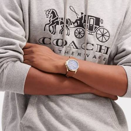 COACH Charles Stainless Steel Quartz Men's Watch 14602629