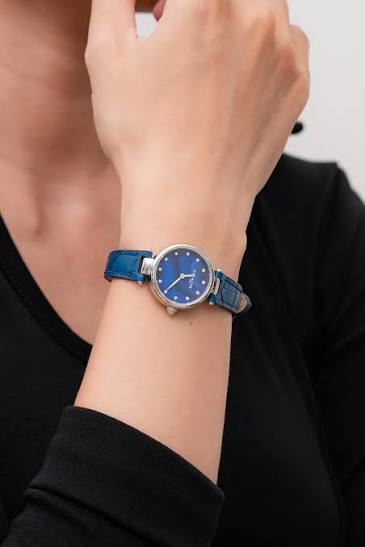 Coach Park Quartz Navy Blue Dial Ladies Watch 14503535