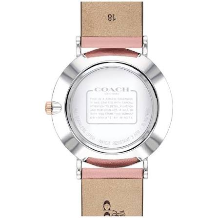 Coach Perry Quartz Silver Dial Ladies Watch 14503258
