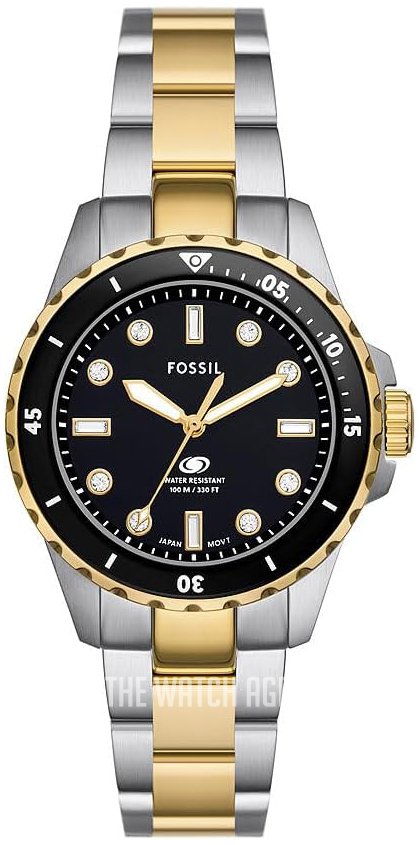 Fossil Blue Dive Three-Hand Two-Tone Stainless Steel Watch - ES5349