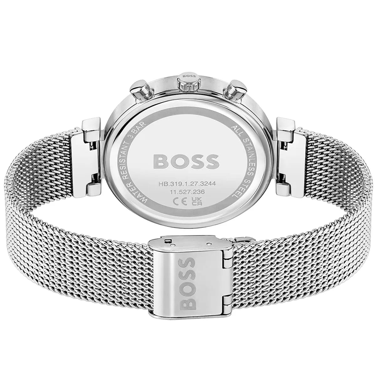 Hugo Boss Flawless watch caseback showing silver stainless steel with mesh strap, rear view