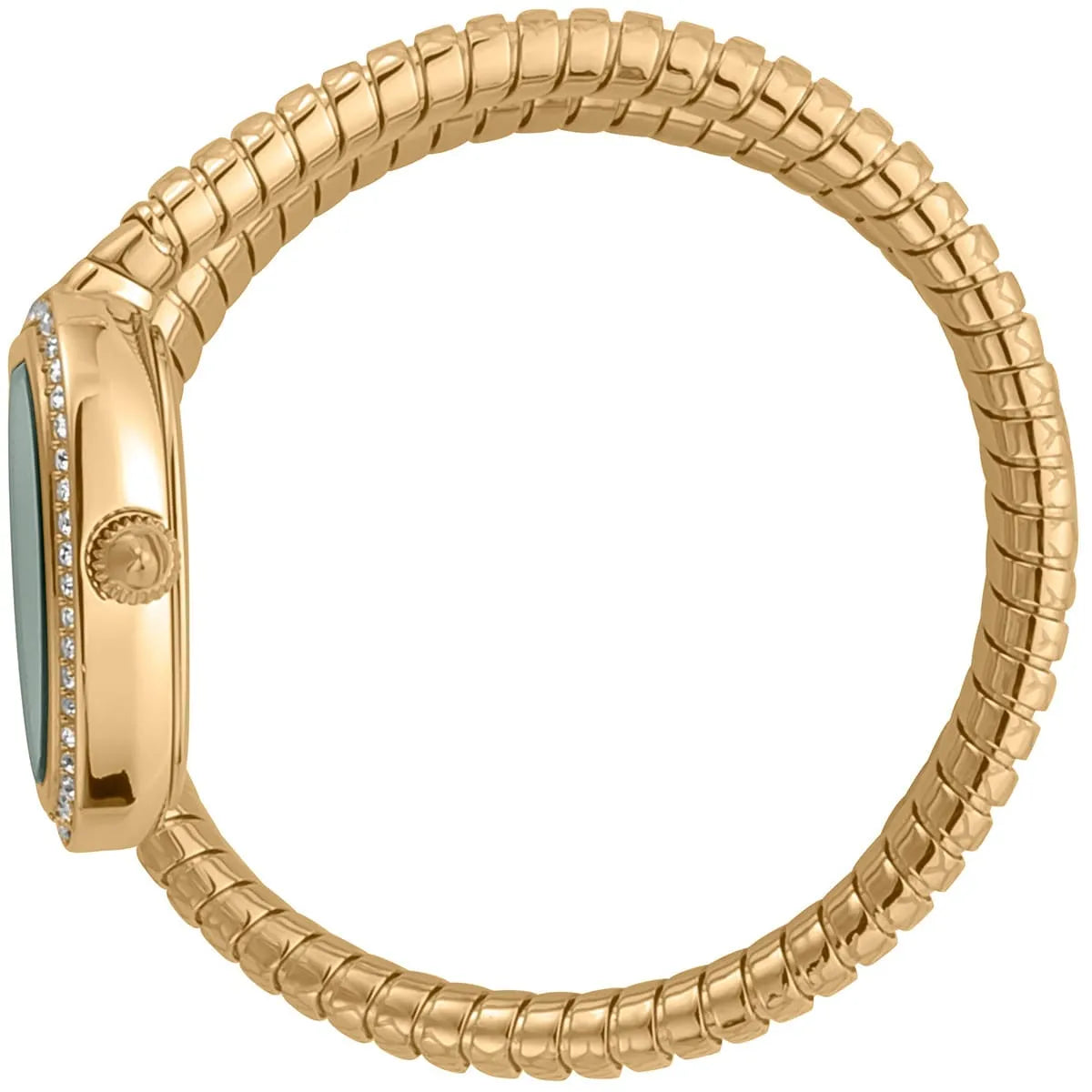 Just Cavalli Snake Solo Women's Watch - JC1L167M0025