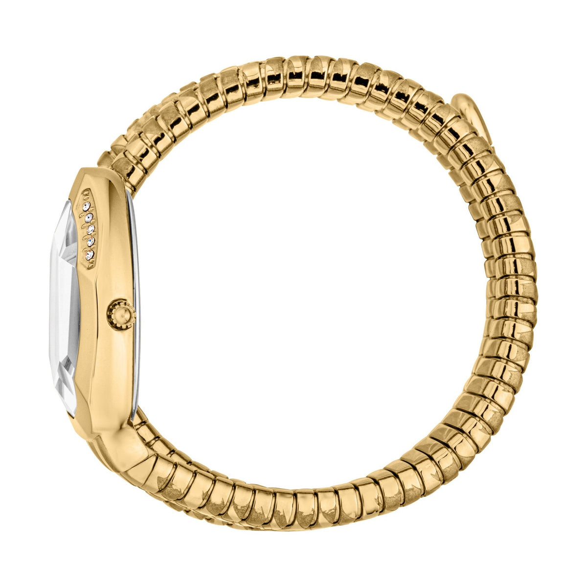 Just Cavalli Serpente Logo Gold Women Watch - JC1L226M0025
