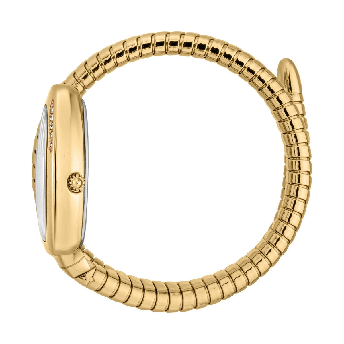 Gold Serpente watch on wrist showing side profile with segmented band