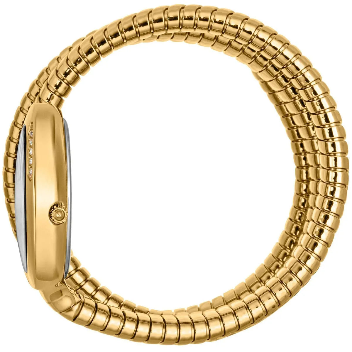 Side view of gold stainless steel watch with segmented snake-wrap band and crystal bezel