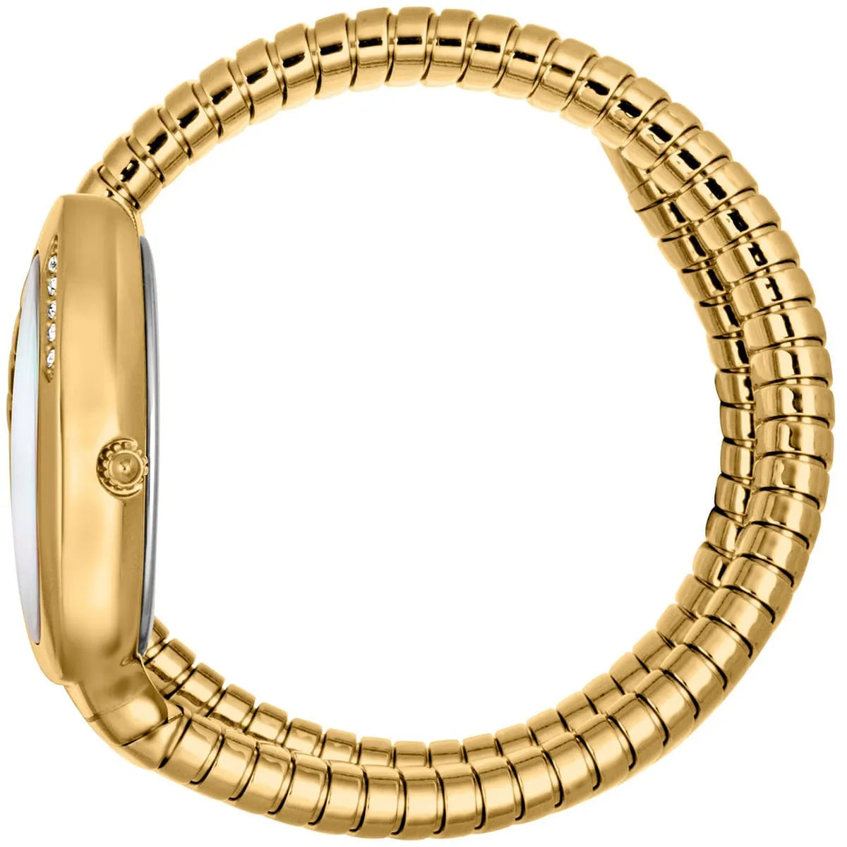 Gold snake-wrapped watch on wrist with segmented stainless steel coil design