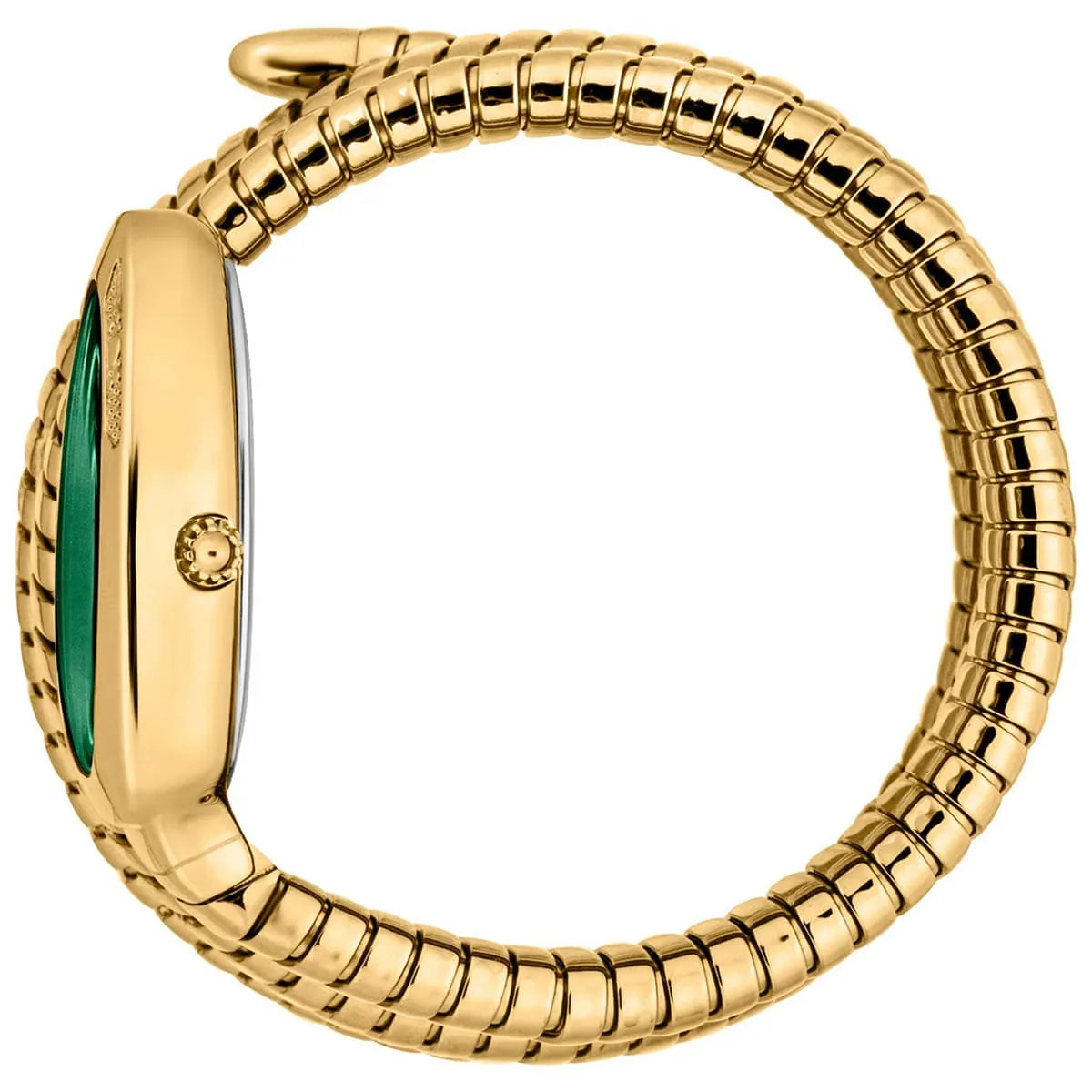 Just Cavalli Cosenza watch side view showing green dial and gold coiled strap