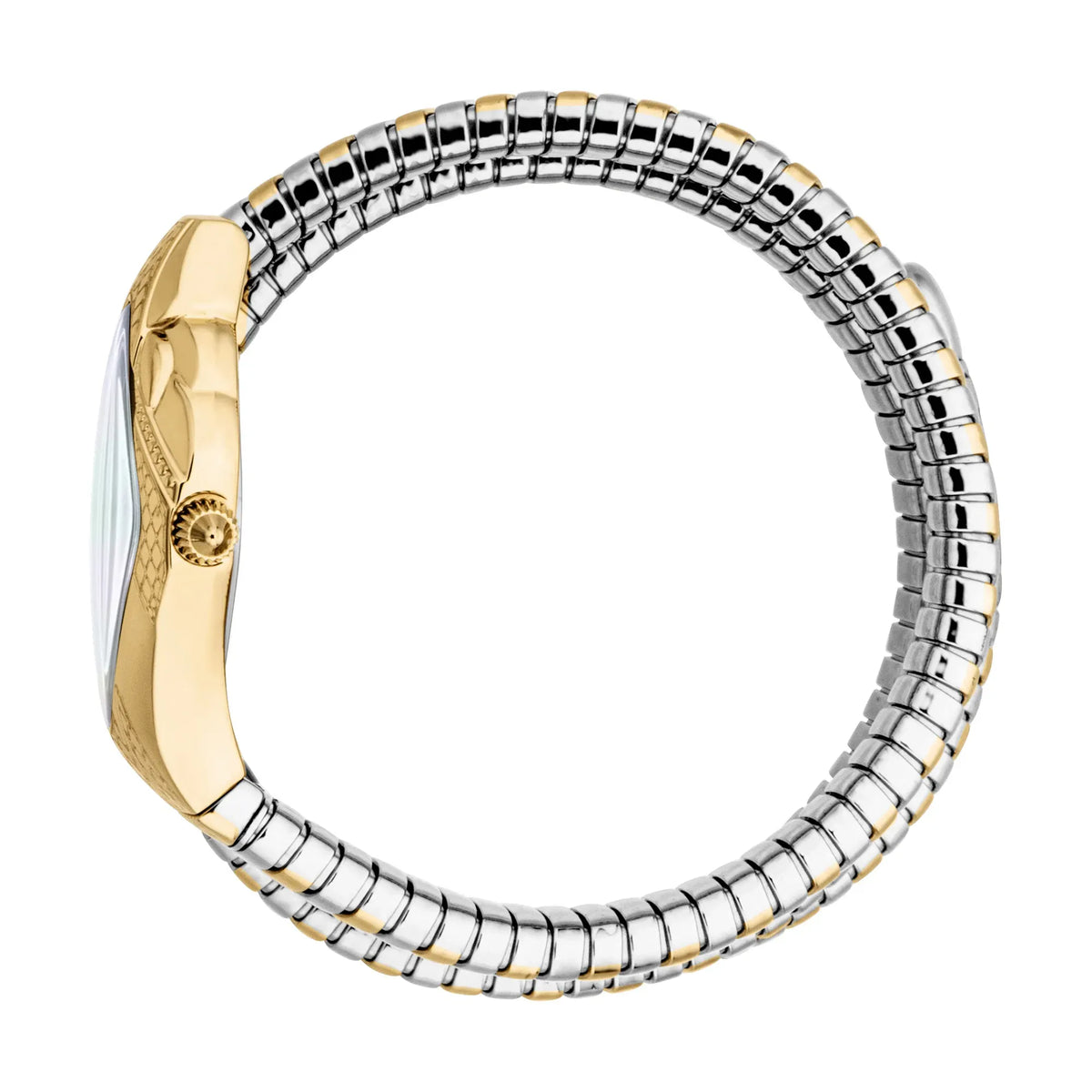 Just Cavalli Signature Snake Aurela Two Tones YG Silver Women Watch - JC1L374M0055