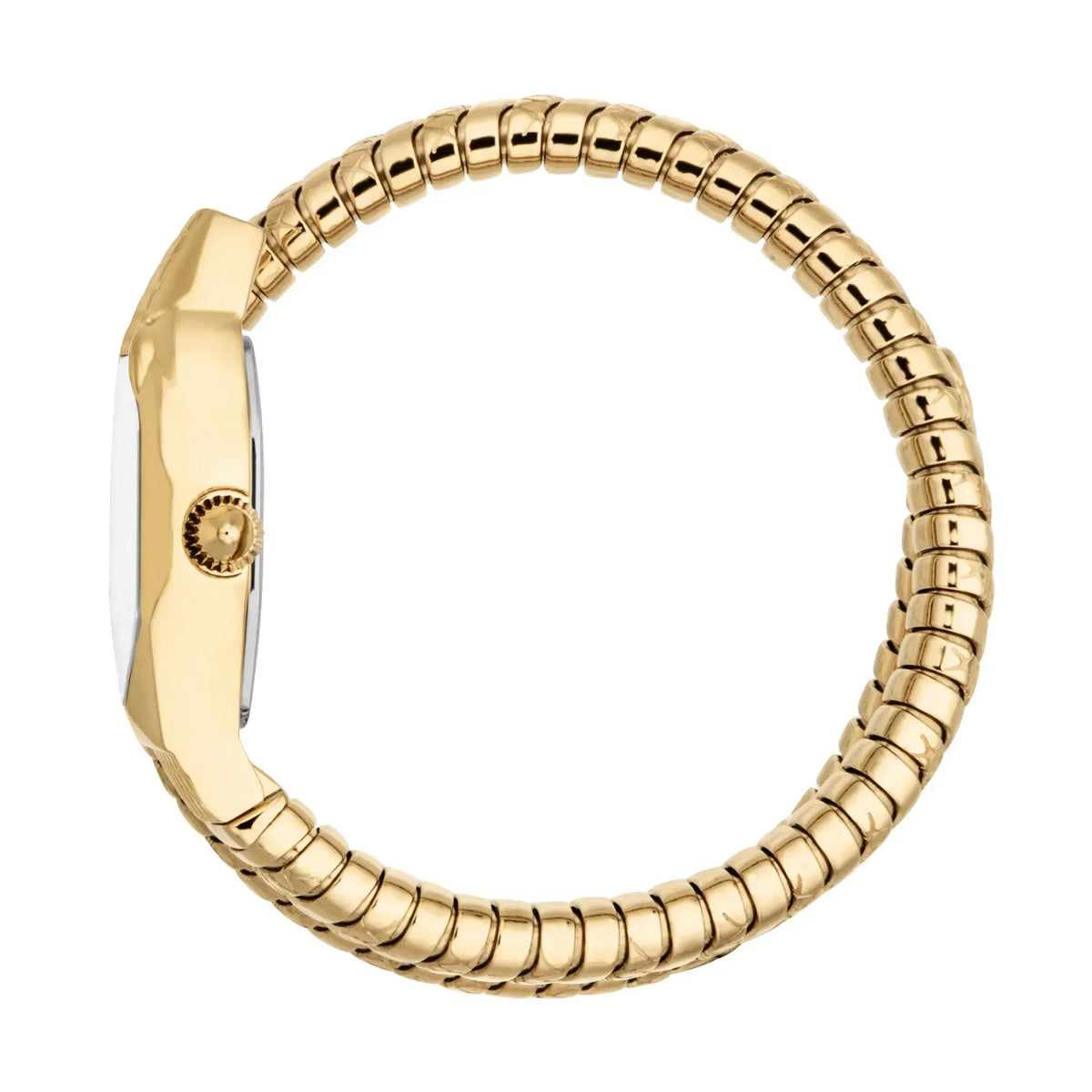 Just Cavalli Aurela Green Dial Gold Steel Strap Women Watch - JC1L374M0035