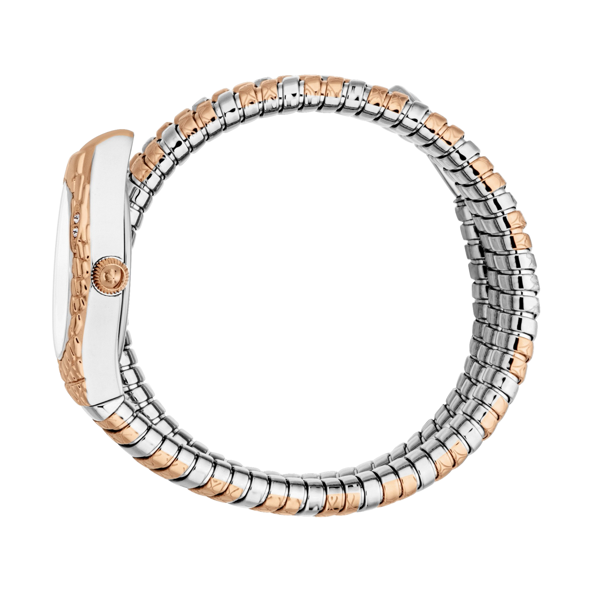 Just Cavalli Aurela watch side view showing two-tone snake-link steel strap