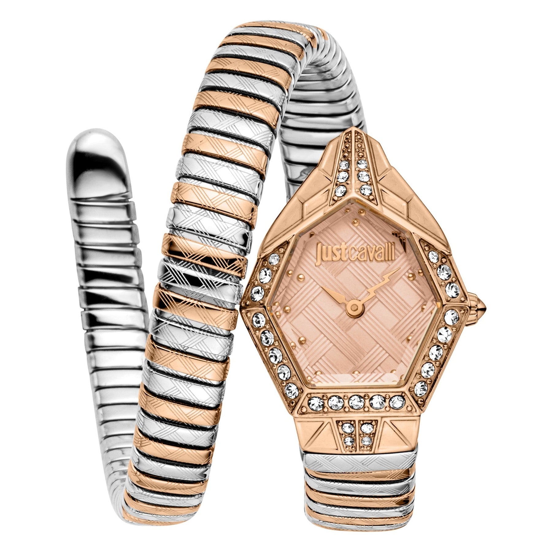 Just Cavalli Ornato Snake Women's Watch - JC1L303M0065