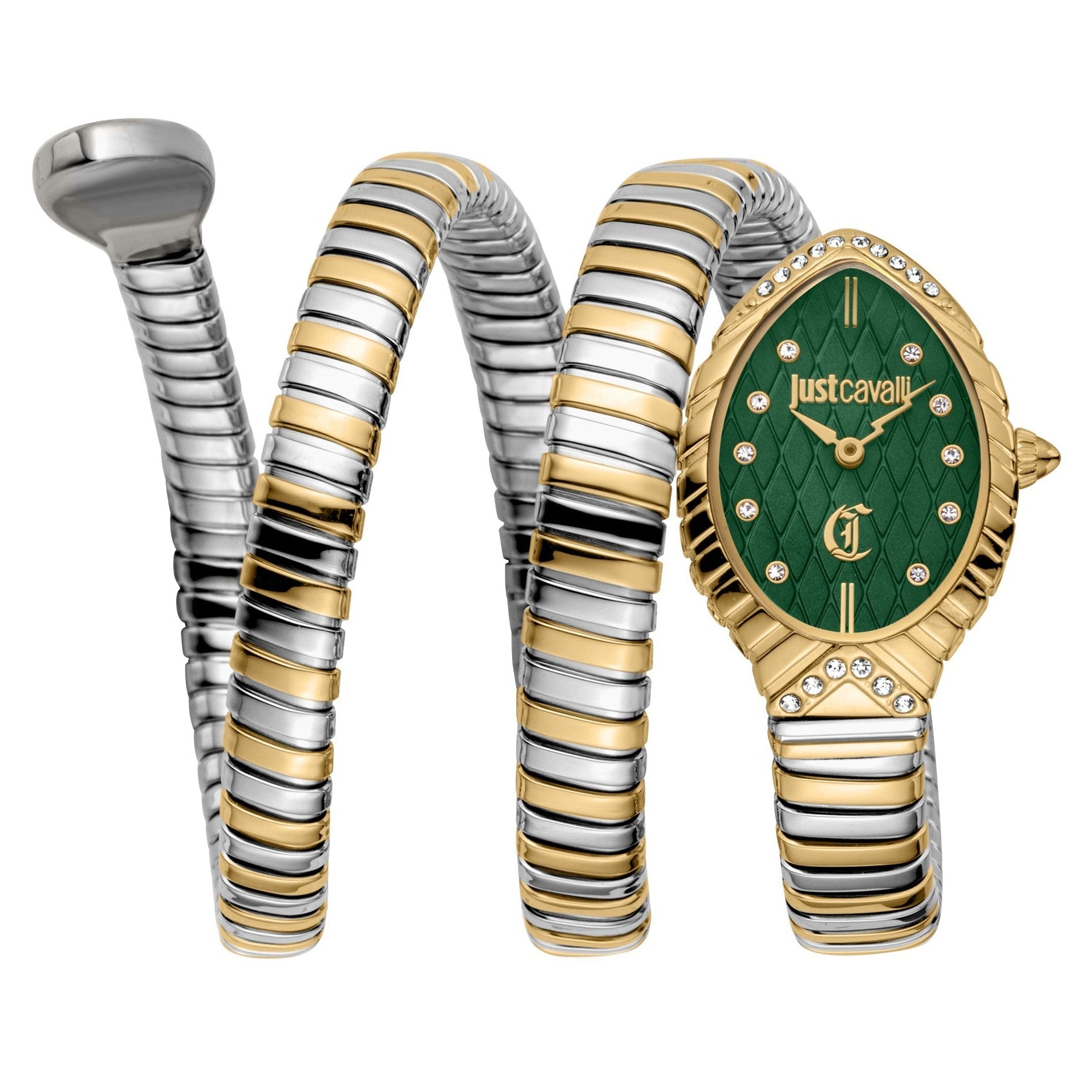Just Cavalli Two-Tone Dark Green Dial Women's Watch - JC1L323M0055