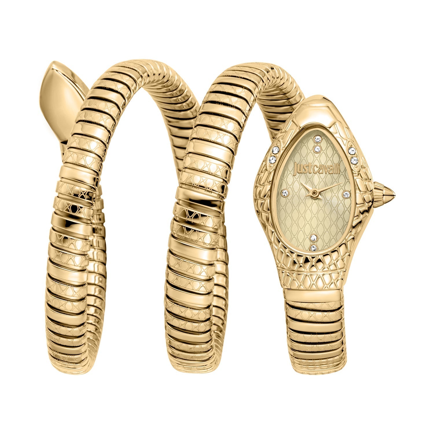 Just Cavalli Women's Watch - JC1L374M0025